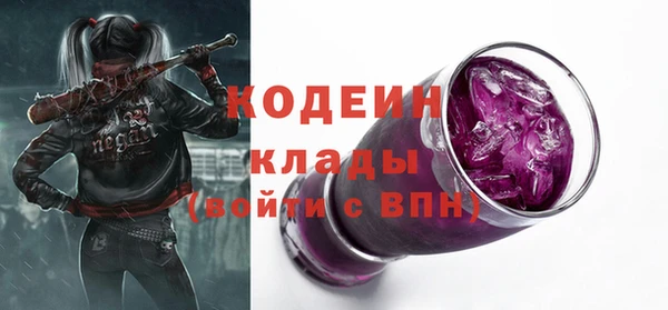 дмт Вяземский