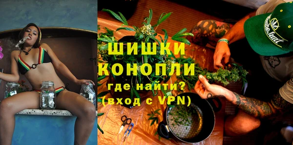 дмт Вяземский