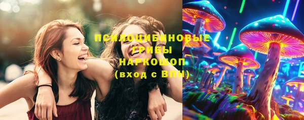 a pvp Вязники